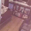 Photo 9: Shared lounge (snug) 