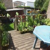 Photo 8: Rear garden with decking