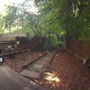 Photo 7: Garden