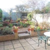 Photo 4: Garden