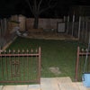 Photo 4: Garden