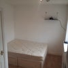 Photo 5:  room for rent :)