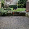 Photo 6: Patio and garden (and dog!)