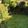 Photo 7: Secluded little garden