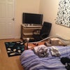Photo 2: Bedroom