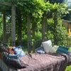 Photo 8: garden