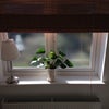 Photo 2: Window looking onto the garden