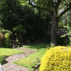 Photo 8: Garden or Patio