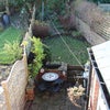 Photo 3: Our garden complete with Squirrel