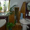 Photo 2: The Jungle bathroom