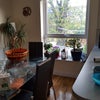 Photo 2: dining room