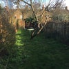 Photo 8: Garden 
