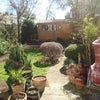 Photo 5: Garden in early Spring