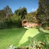 Photo 4: Garden