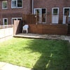 Photo 6: Garden