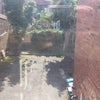 Photo 5: Parking / Back Yard