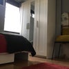 Photo 2: Single room