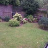 Photo 6: Garden