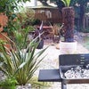 Photo 7: Garden