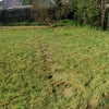 Photo 5: Garden