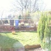Photo 6: Back Garden