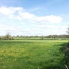 Photo 8: View from garden