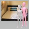 Photo 1: Double Bed & Mattress