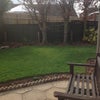 Photo 5: Garden