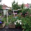 Photo 8: garden