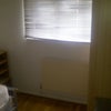 Photo 3: Bedroom