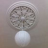 Photo 3: Bedroom - ceiling rose