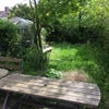 Photo 2: Garden