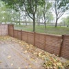 Photo 5: Garden