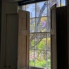 Photo 4: the room, shutters & wisteria