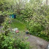 Photo 2: View of garden from room in Spring