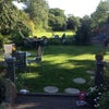 Photo 5: Garden