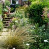 Photo 4: Beautiful garden with BBQ