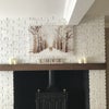 Photo 4: Fireplace