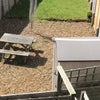 Photo 7: Garden