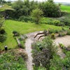 Photo 3: Garden in Spring