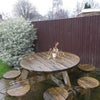 Photo 8: Garden
