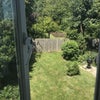 Photo 4: Garden