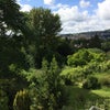 Photo 8: The View