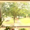 Photo 5: Calming view!!