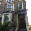 Photo 9: Front of the house with wisteria in bloom