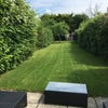 Photo 5: Garden