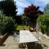 Photo 5: Garden