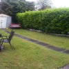 Photo 5: Back garden