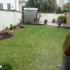 Photo 3: Garden to rear of house