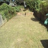 Photo 3: 100yd long garden